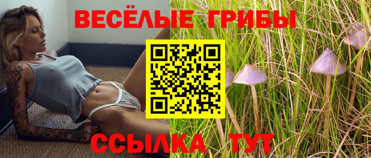 Галлюциногенные грибы Psilocybe Петрозаводск