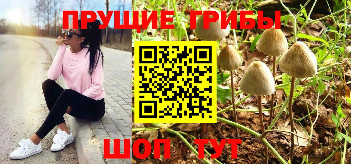 Псилоцибиновые грибы GOLDEN TEACHER  Вход с VPN  Галлюциногенные грибы мицелий  где можно купить наркотик  Петрозаводск 