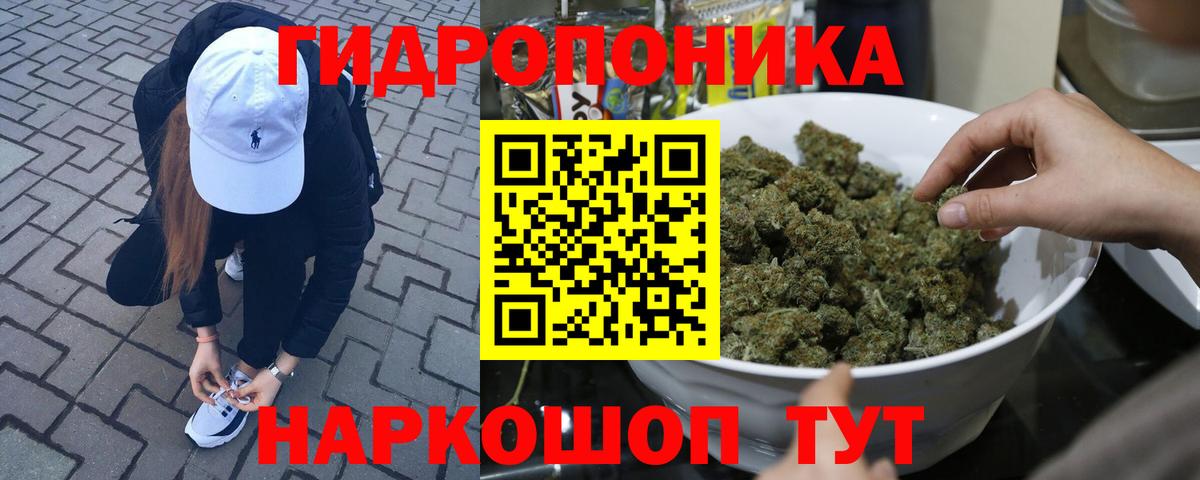 Бошки Шишки VHQ Петрозаводск
